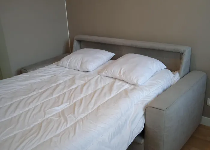 Appartement Centre Ville Mont Dore Vacances Et Week-End Classe 3 Etoiles