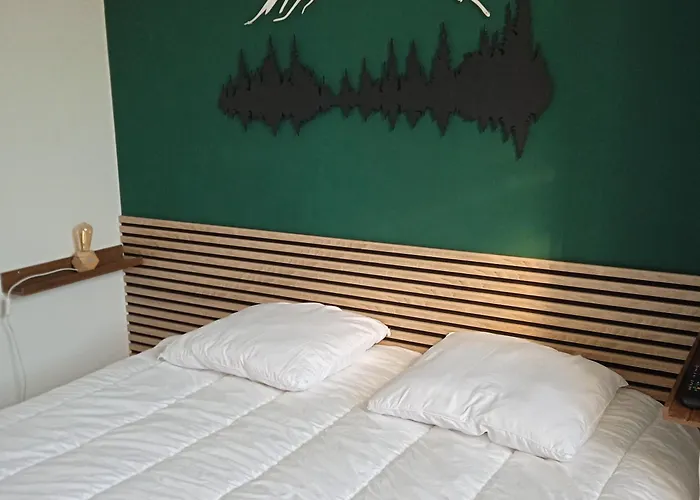 Appartement Centre Ville Mont Dore Vacances Et Week-End Classe 3 Etoiles